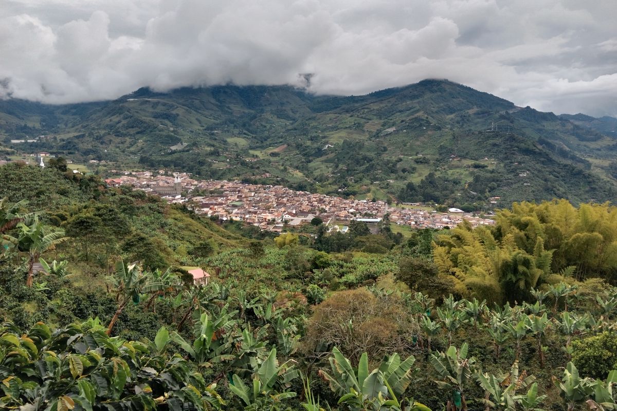 Village de montagne entouré de plantations de café dans les Andes colombiennes